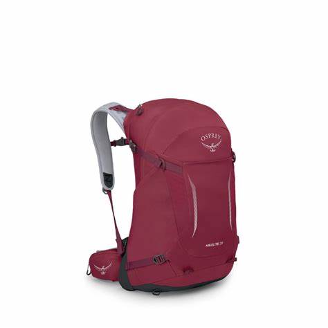 【 OSPREY 】 中性健行包 HIKELITE-28L - JJSJ結交世界