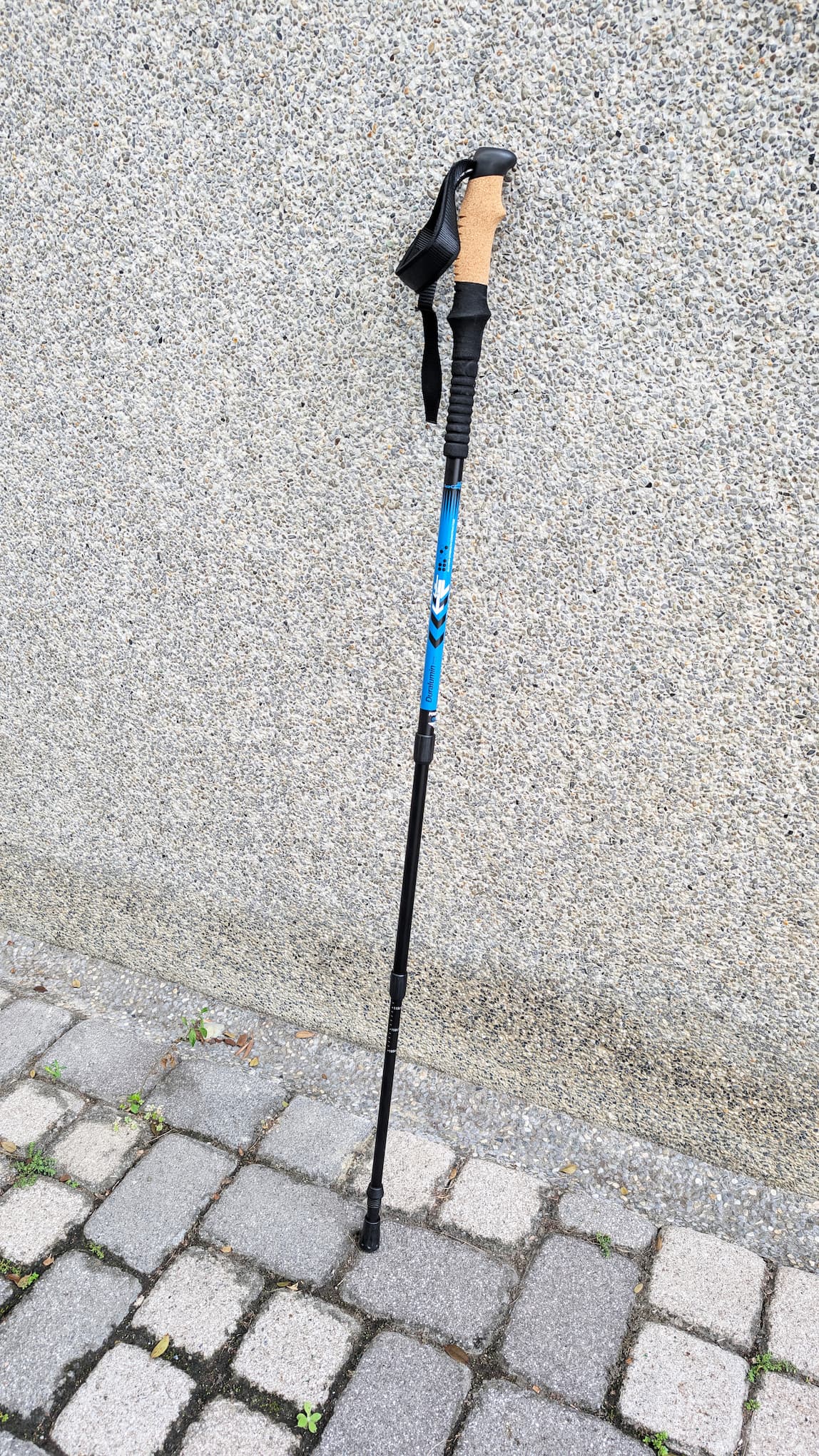 【ACECAMP 】內鎖式鋁合金登山杖 - JJSJ結交世界