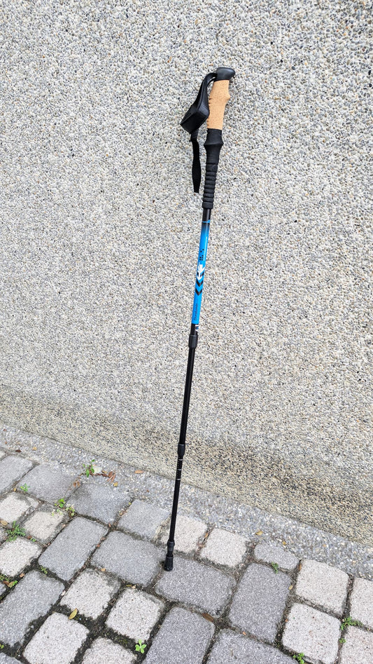 【ACECAMP 】內鎖式鋁合金登山杖 - JJSJ結交世界