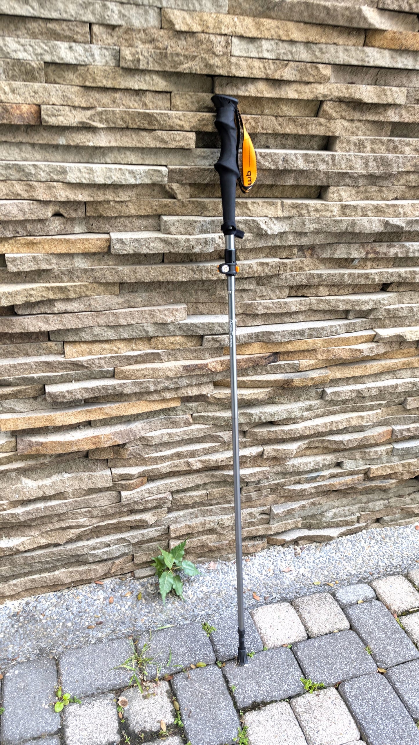 【ACECAMP 】鋁合金摺疊登山杖 - JJSJ結交世界