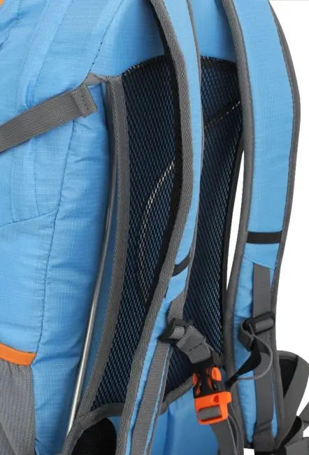 BACK SUPPORT
