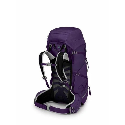 tempest40_s21_sideback_violacpurple