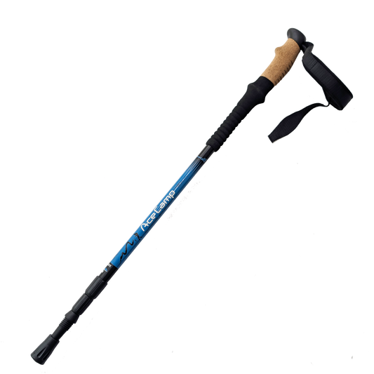 【ACECAMP 】內鎖式鋁合金登山杖 - JJSJ結交世界